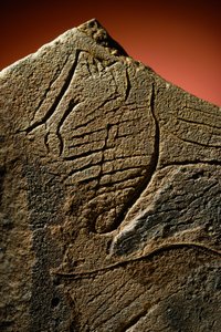 Elegante grabado de un perfil humano hallado en un alijo prehistórico de piedra caliza.