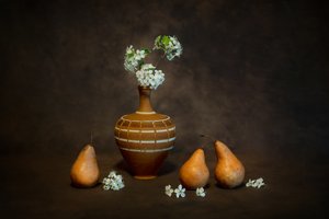 Naturaleza muerta rústica con flores de Siyu_Wei APA