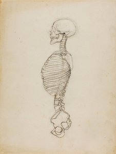 Anatomía de Solon H. Borglum