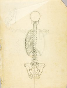 Estudio de anatomía de Solon H. Borglum