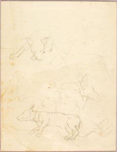 Perros de Solon H. Borglum