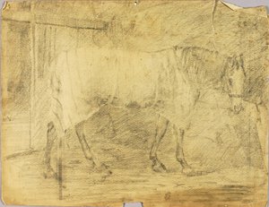 Caballo