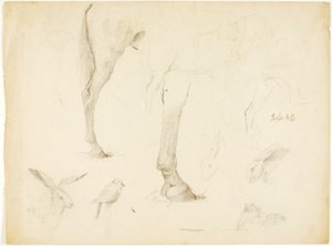 Estudio de caballos y conejos de Solon H. Borglum