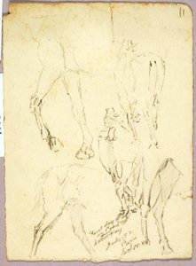 Caballos de Solon H. Borglum