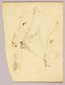 Cabezas de caballo de Solon H. Borglum