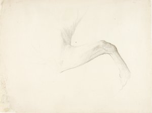 Pierna de caballo de Solon H. Borglum