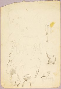 Caballos y pavos
