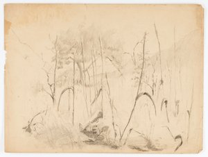 Paisaje de Solon H. Borglum