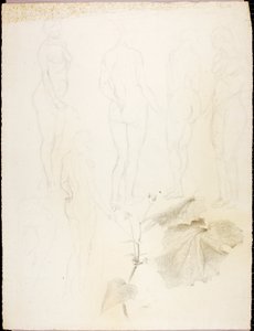 Desnudos y hojas de Solon H. Borglum