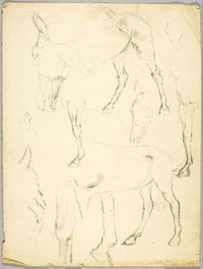 Estudio de retrato, Estudio de caballo de Solon H. Borglum