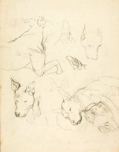 Sleeping Dogs de Solon H. Borglum