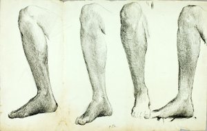 Estudio de Anatomía, nº 5 de Solon H. Borglum