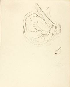 Nadador