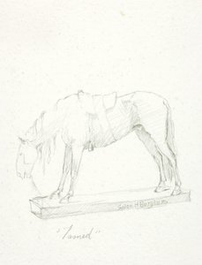 Domado de Solon H. Borglum