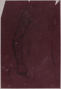 Torso, estudio para monumento ecuestre