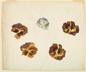 Recto