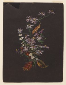 Estudio de un Ramo de Otoño de Sophia L. Crownfield