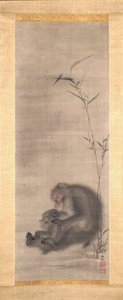 Monkey Grooming Offspring Near Bamboo (tinta y color sobre seda) de Sosen Mori