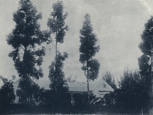 Una Granja Holandesa, cerca de la Compañía Minera de Oro New Croesus de South African Photographer