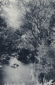 Una escena de hadas, cerca de Witpoortje (foto en blanco y negro) de South African Photographer