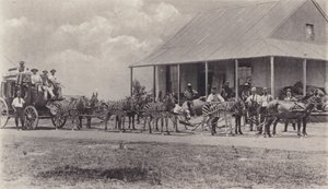 Un Medio de Transporte Novel, Cebras tirando del Carruaje de Correos de South African Photographer