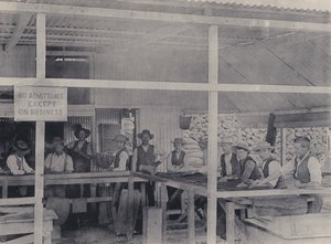 Clasificación de Diamantes, Mina Wesselton (foto en blanco y negro) de South African Photographer