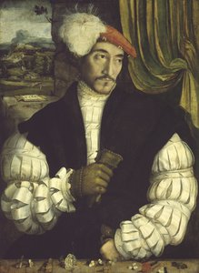 Retrato de un hombre, 1533