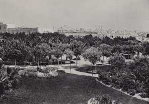 Cádiz: Parque Genovés de Spanish Photographer