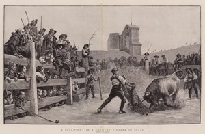 Una corrida de toros en un pueblo de España (grabado) de Spanish School