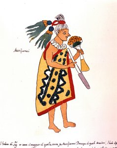 Sacerdote azteca en el Códice Vaticano 3738 (Códice Vat. Ríos). Facsímil del manuscrito del dominico Pedro de los Ríos, entre 1570 y 1589, Bibl. Vaticana.