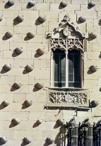 (detalle) del exterior de la Casa de las Conchas de Spanish School