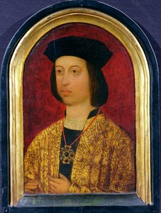 Fernando de Aragón (1452-1516) Rey de España (óleo sobre tabla) de Spanish School