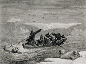 Cazando morsas con arpones en las islas Spitsbergen, archipiélago de Svalbard, ilustración de 