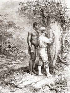 Jules Crevaux, durante su exploración de la Guayana Francesa en 1878, tallando sus iniciales en un árbol en las orillas del río Oyapock o Oiapoque