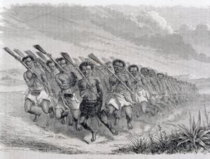 Guerreros maoríes realizando una danza de guerra, ilustración de 