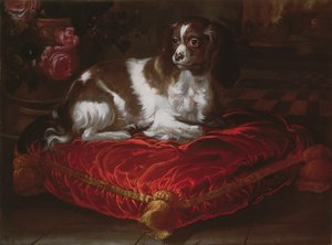 Spaniel en un Cojín