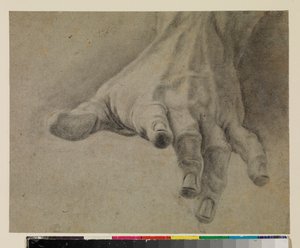 Estudio de una mano izquierda, siglo XVIII de Spanish School