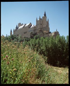 Vista del alcázar de Spanish School