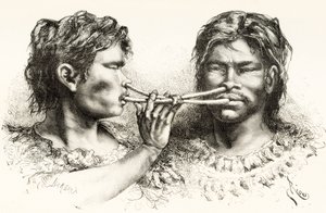 Indios Witoto o Huitoto, pueblos indígenas del sureste de Colombia y norte de Perú, tomando rapé