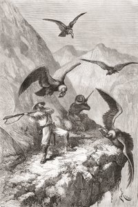 Édouard François André y su compañero siendo atacados por cóndores cerca de Calacalí, Provincia de Pichincha, Ecuador, durante su expedición botánica en las estribaciones de los Andes en 1875-76 de Spanish School