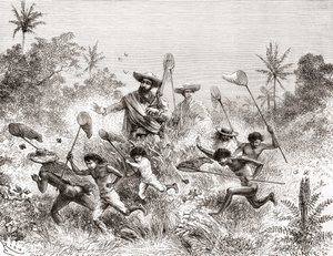 Édouard François André cazando mariposas en Villavicencio, Venezuela durante su expedición botánica en las estribaciones de los Andes en 1875-76