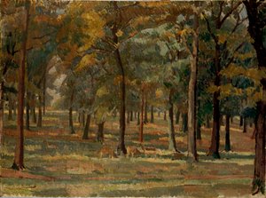 Parque Richmond de Spencer Gore