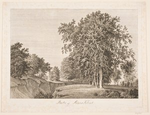 Parte del acantilado de Møens