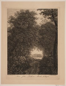Camino del bosque de Søren Henrik Petersen