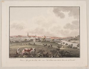 Odense en Fionia, desde el lado este
