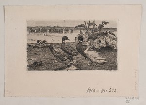 Patos de Søren Lund