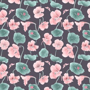 Nasturtium hero pattern colorway 1, 2020 (lápiz de grafito y digital)