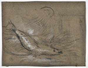 Estudio de peces (dibujo) de Stanislas Torrents y de Amat