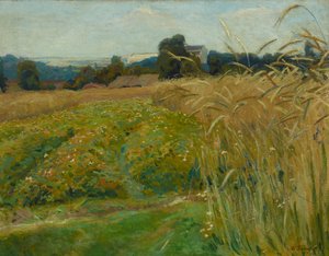 Paisaje en los alrededores de Cracovia