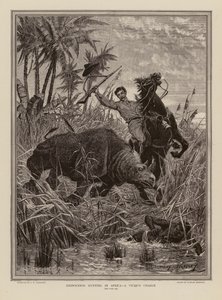 Caza del rinoceronte en África (grabado) de Stanley (after) Berkeley